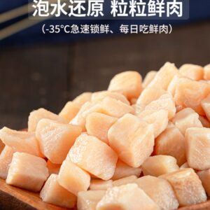 地方官梵蒂冈地方官梵蒂冈