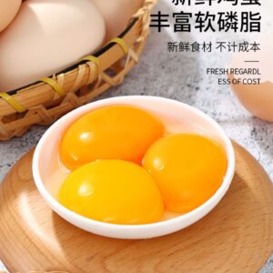 地方官梵蒂冈地方官梵蒂冈