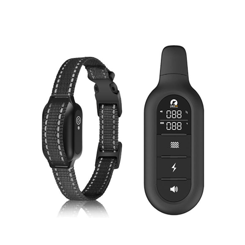 dog trainer dog trainer