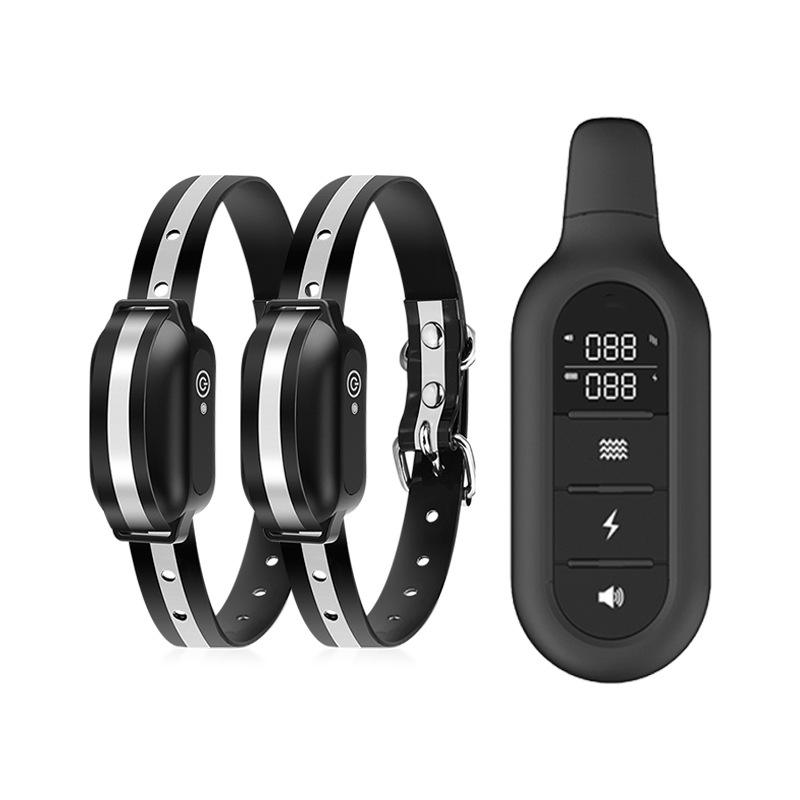 dog trainer dog trainer