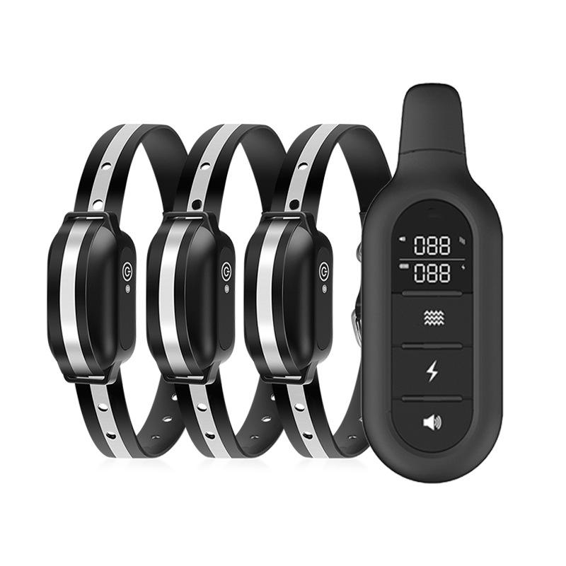 dog trainer dog trainer