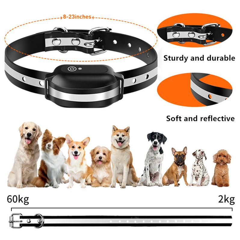 dog trainer dog trainer