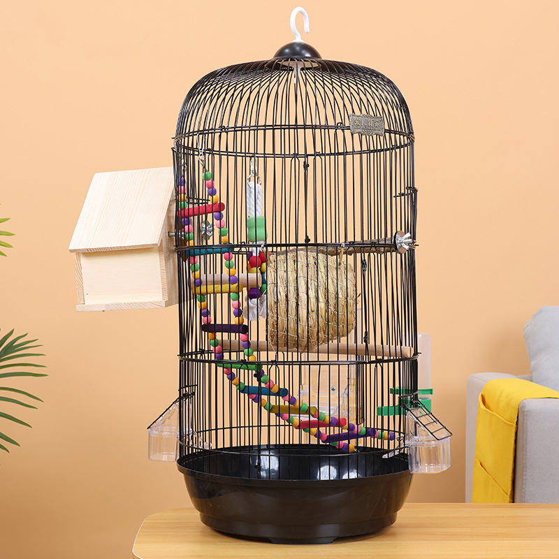 auto draft auto draft