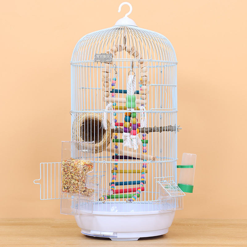 auto draft auto draft