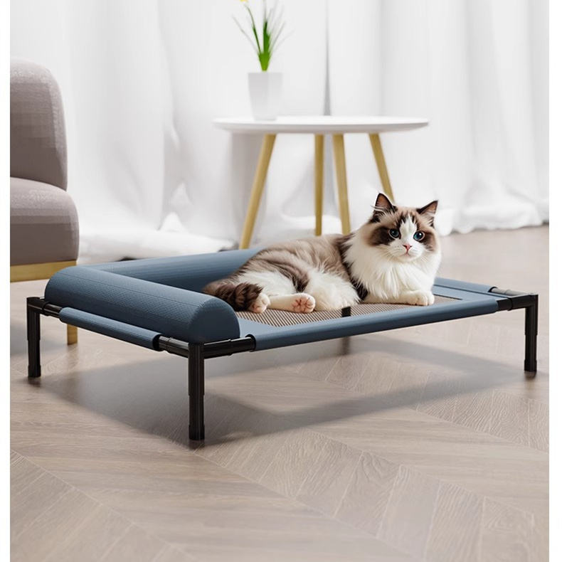 auto draft auto draft