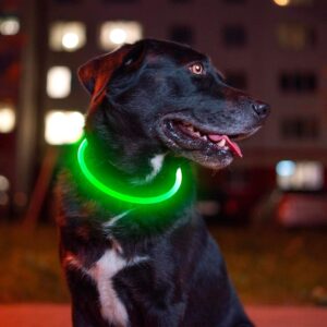 light up collar