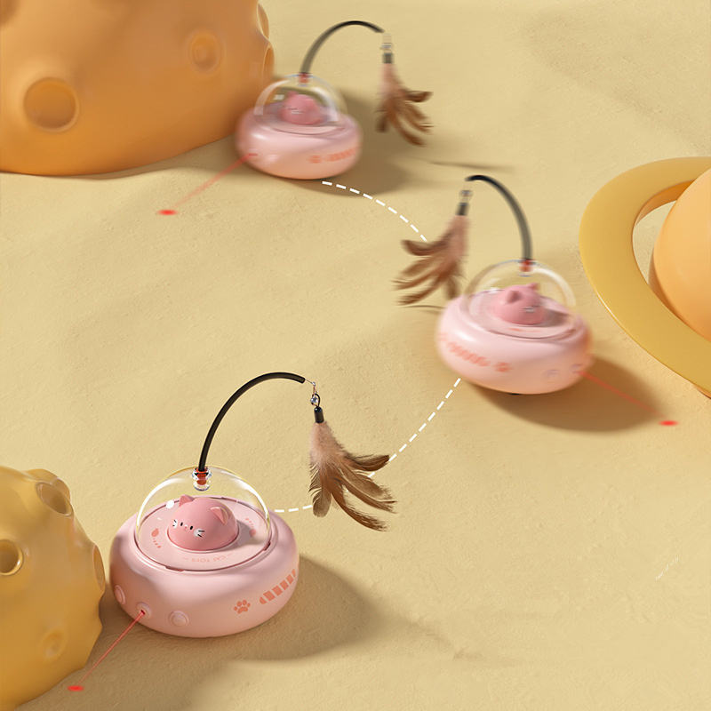 fun pet interactions fun pet interactions