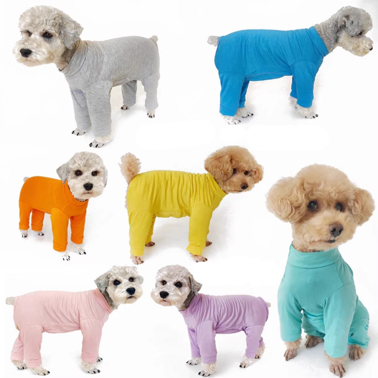 pet clothing pet clothing