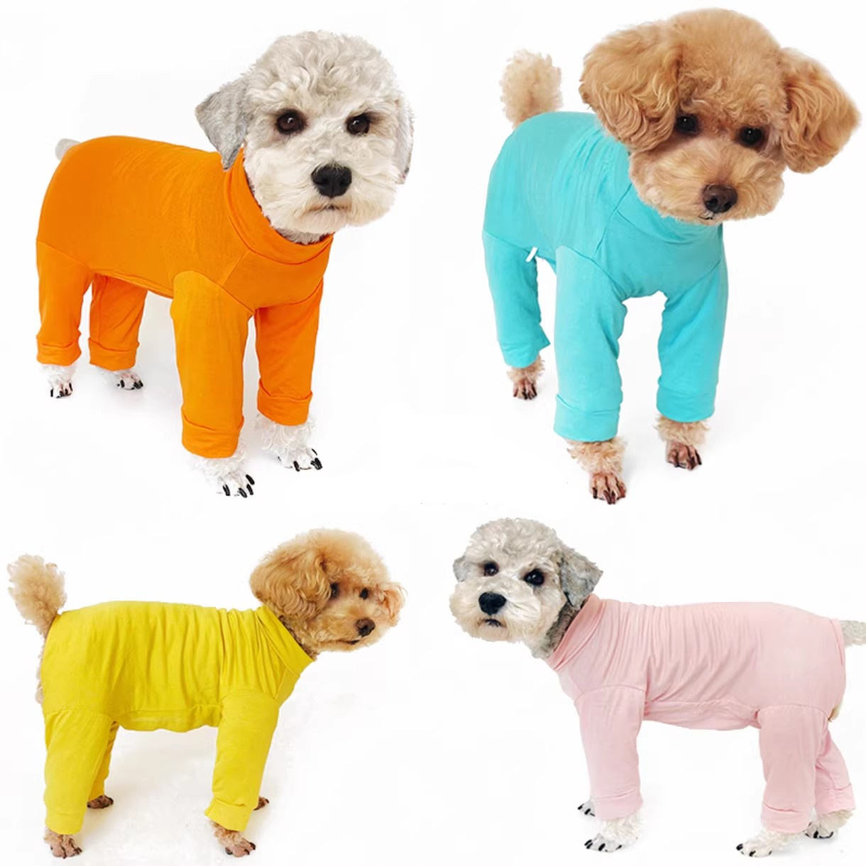 pet clothing pet clothing