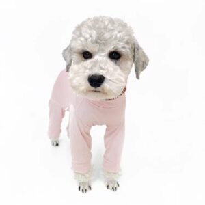 pet clothing
