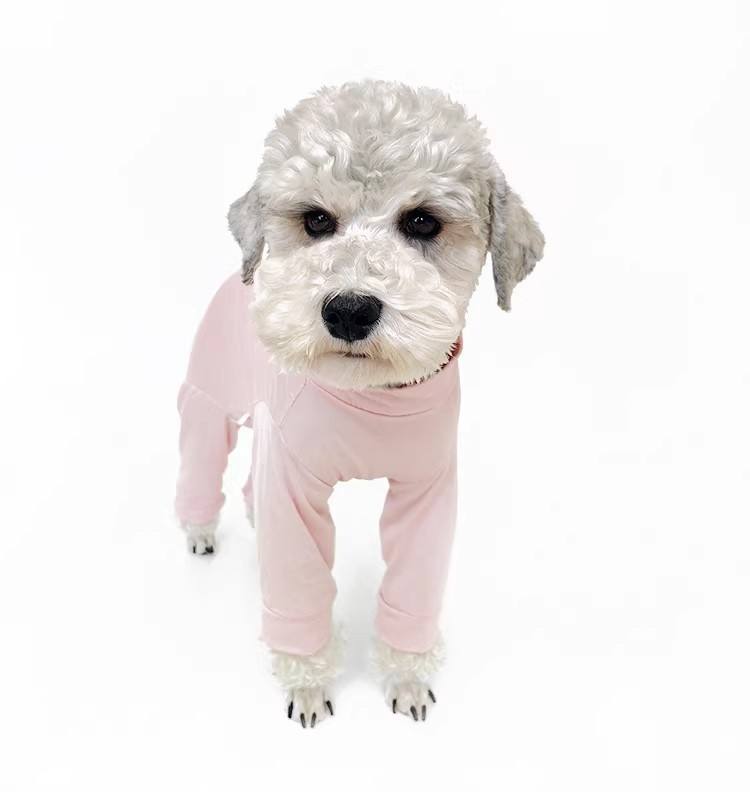 pet clothing pet clothing