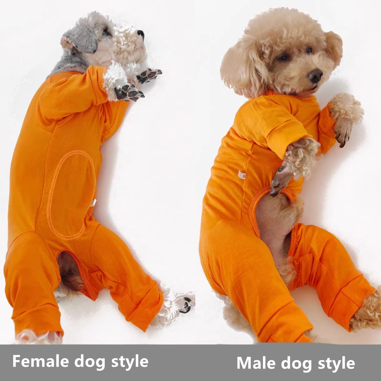 pet clothing pet clothing
